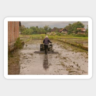 A man in backside view plows a village rice field. Sticker